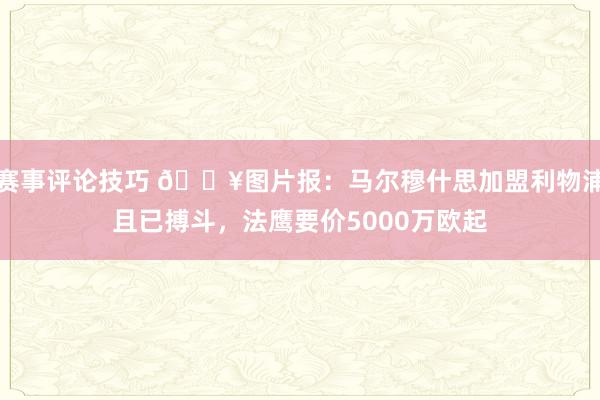 赛事评论技巧 💥图片报：马尔穆什思加盟利物浦且已搏斗，法鹰要价5000万欧起