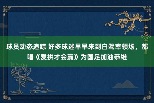 球员动态追踪 好多球迷早早来到白鹭率领场，都唱《爱拼才会赢》为国足加油恭维