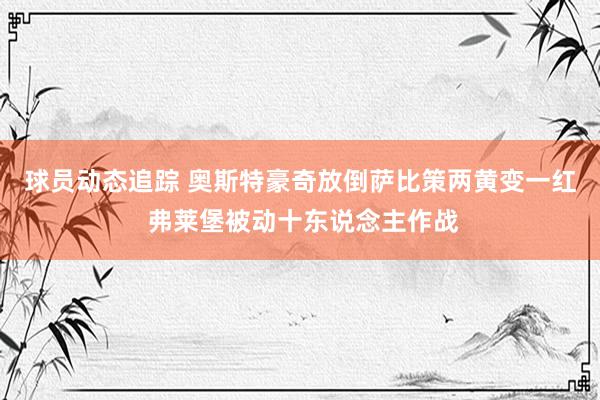 球员动态追踪 奥斯特豪奇放倒萨比策两黄变一红 弗莱堡被动十东说念主作战