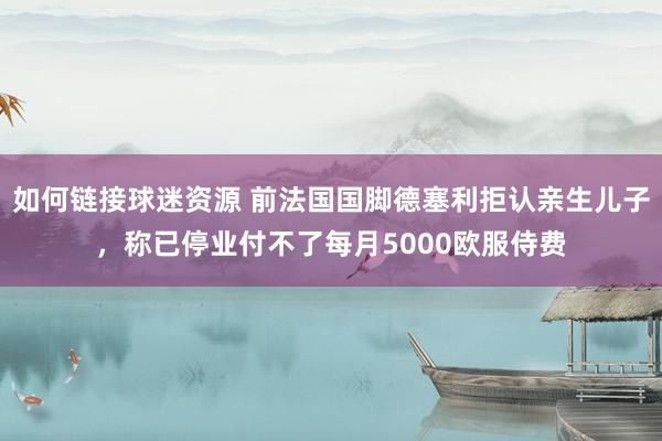 如何链接球迷资源 前法国国脚德塞利拒认亲生儿子，称已停业付不了每月5000欧服侍费