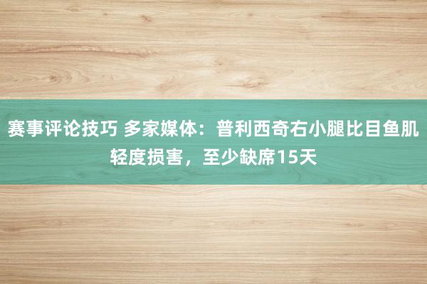 赛事评论技巧 多家媒体：普利西奇右小腿比目鱼肌轻度损害，至少缺席15天