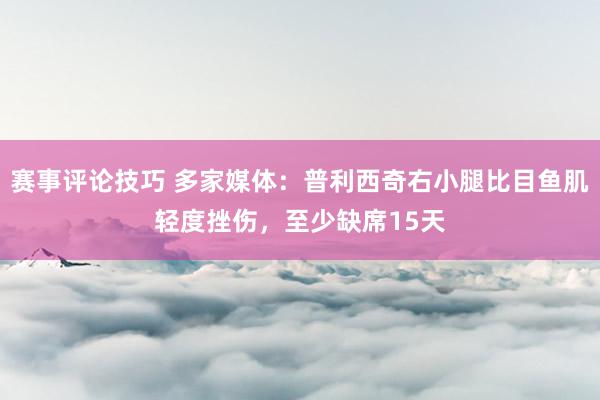 赛事评论技巧 多家媒体：普利西奇右小腿比目鱼肌轻度挫伤，至少缺席15天