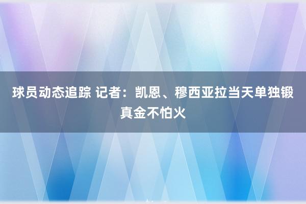 球员动态追踪 记者：凯恩、穆西亚拉当天单独锻真金不怕火