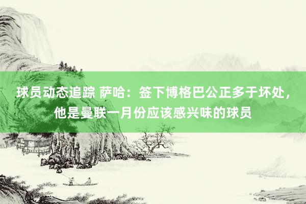 球员动态追踪 萨哈：签下博格巴公正多于坏处，他是曼联一月份应该感兴味的球员