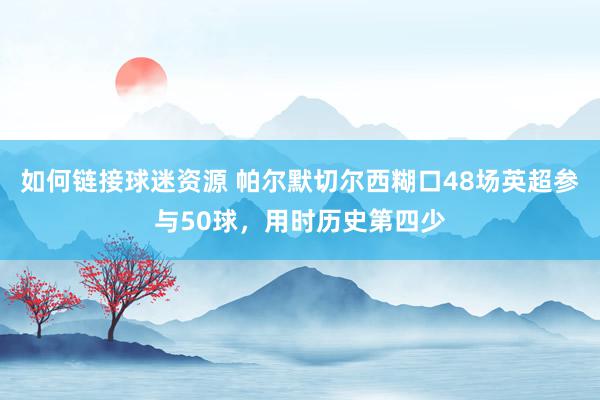 如何链接球迷资源 帕尔默切尔西糊口48场英超参与50球，用时历史第四少