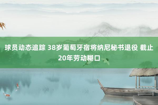 球员动态追踪 38岁葡萄牙宿将纳尼秘书退役 截止20年劳动糊口