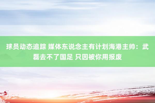 球员动态追踪 媒体东说念主有计划海港主帅：武磊去不了国足 只因被你用报废